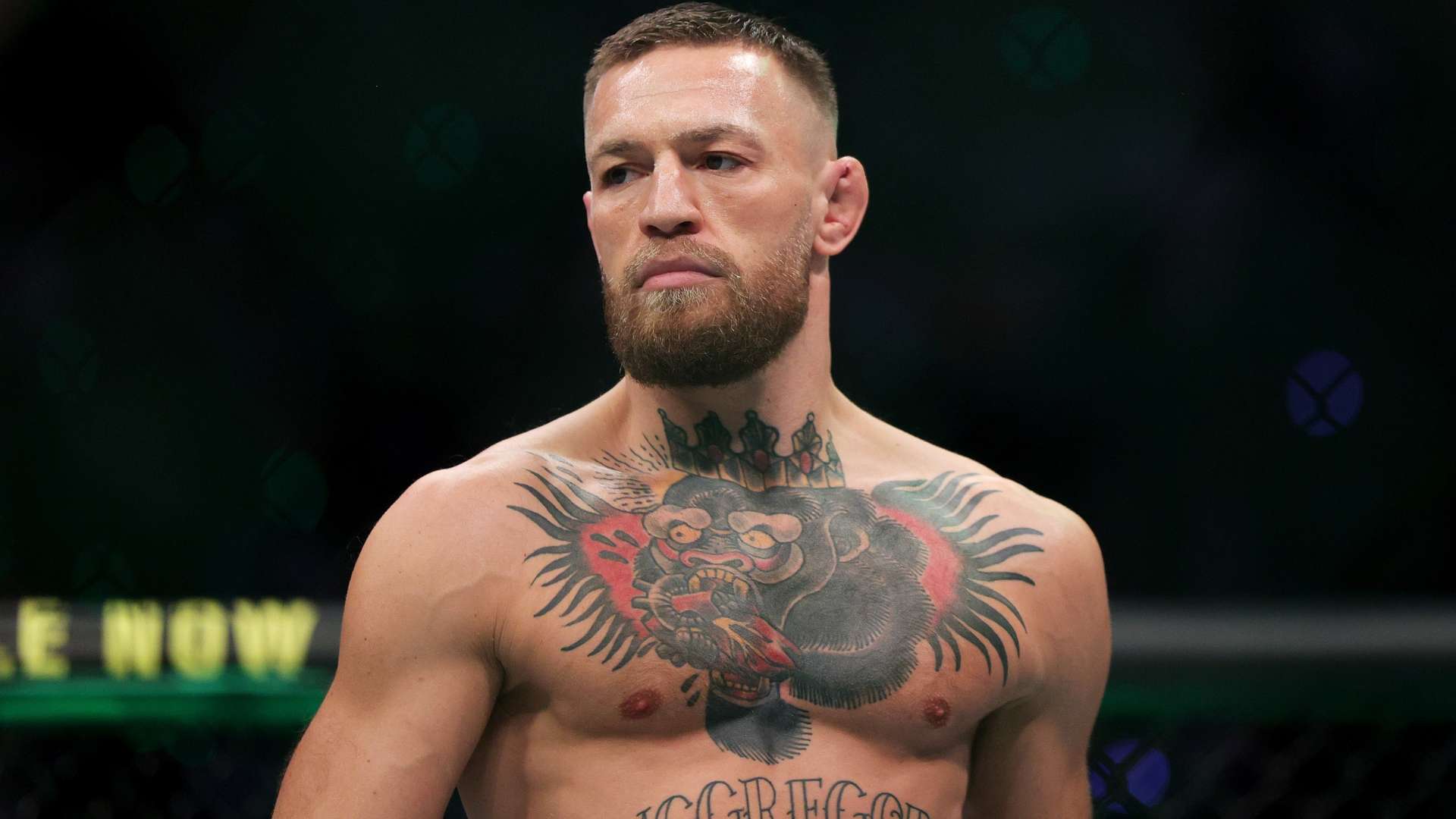 疑是對球隊 疑是對球隊